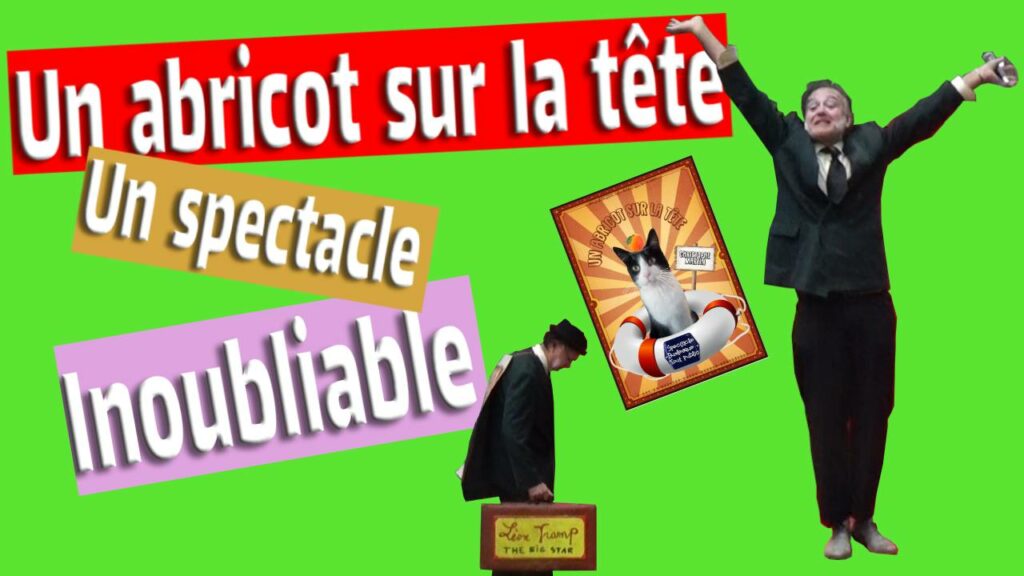 vignette un abricot